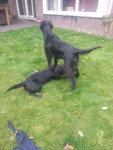 Mama Lilly geeft Tommy een standje! ;-)
